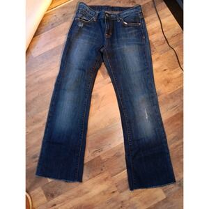 Ralph‎ Lauren Polo Jeans Women's Kelly Blue Denim Low Rise Y2K Bootcut Size 4/27